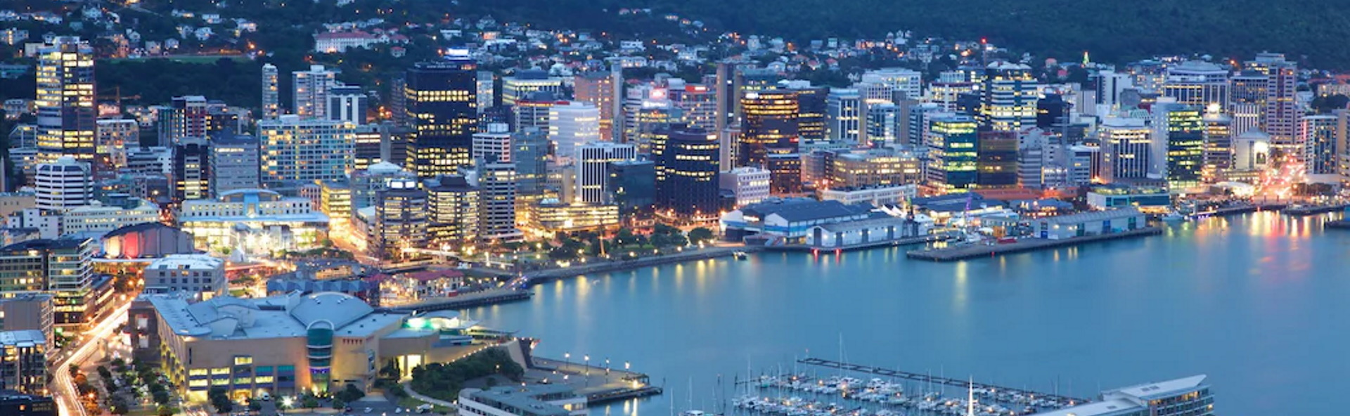Wellington city and harbour